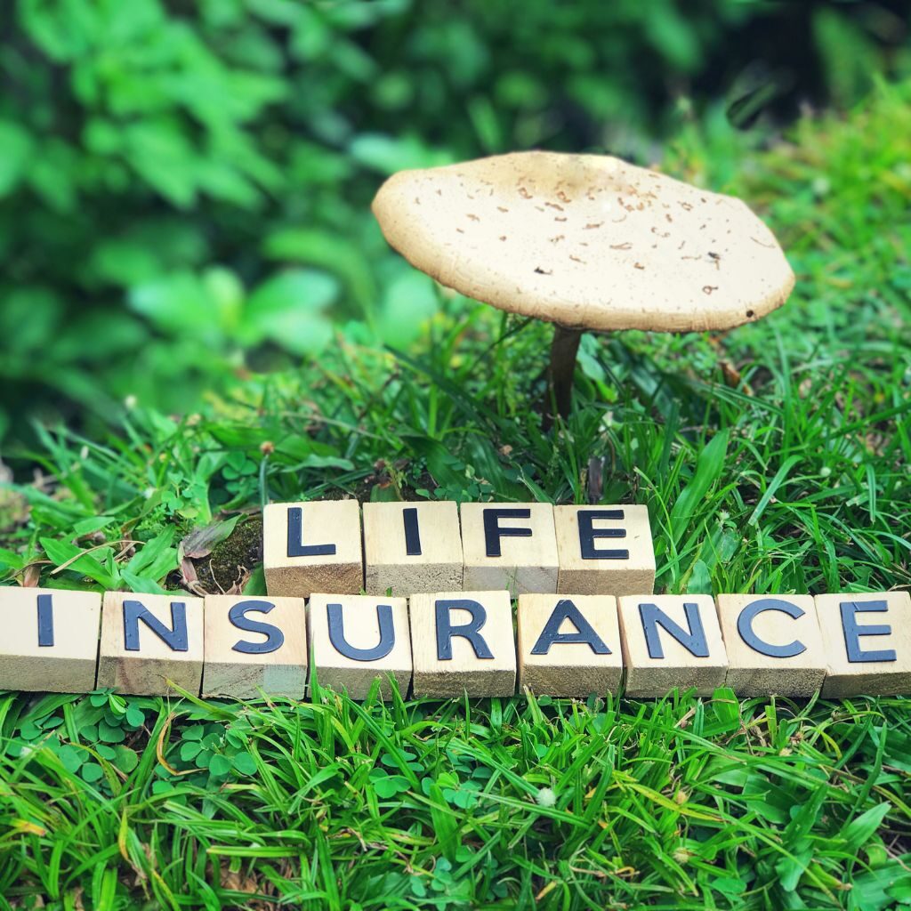 Life insurance blocks under a mushroom